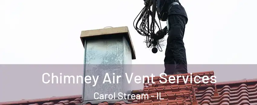  Chimney Air Vent Services Carol Stream - IL
