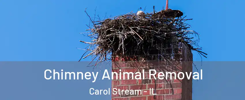 Chimney Animal Removal Carol Stream - IL