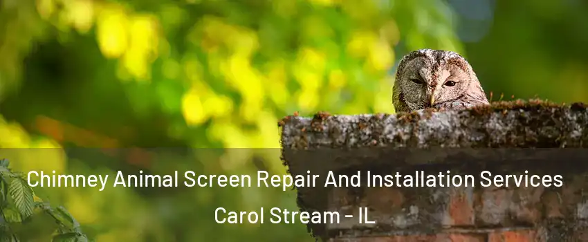  Chimney Animal Screen Repair And Installation Services Carol Stream - IL