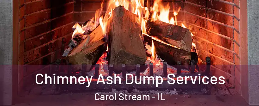  Chimney Ash Dump Services Carol Stream - IL