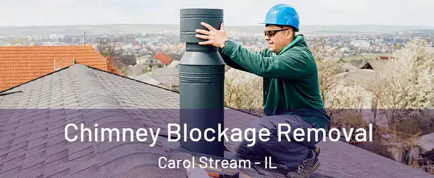  Chimney Blockage Removal Carol Stream - IL