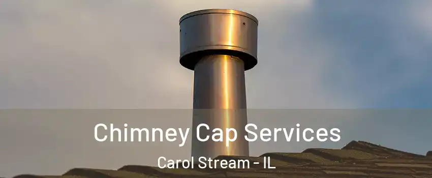  Chimney Cap Services Carol Stream - IL