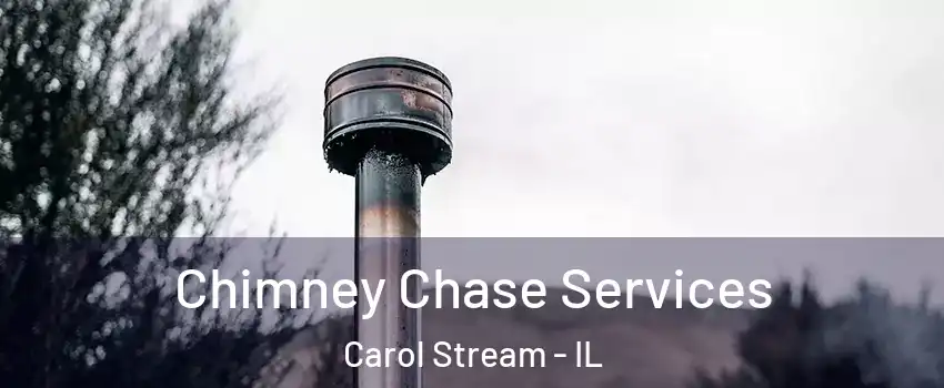  Chimney Chase Services Carol Stream - IL