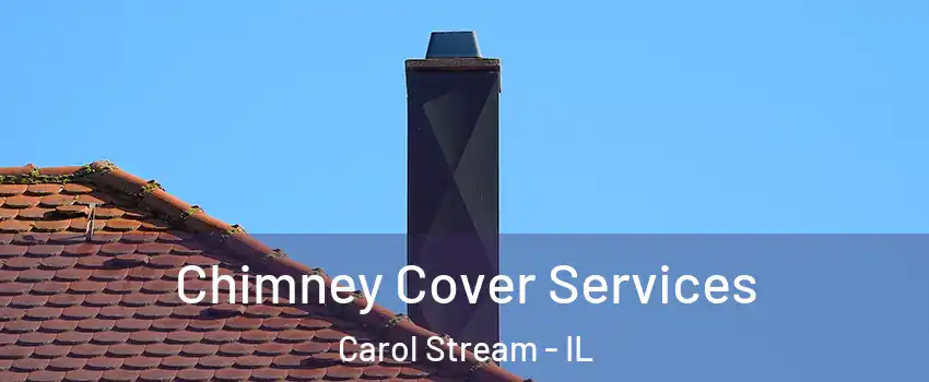  Chimney Cover Services Carol Stream - IL