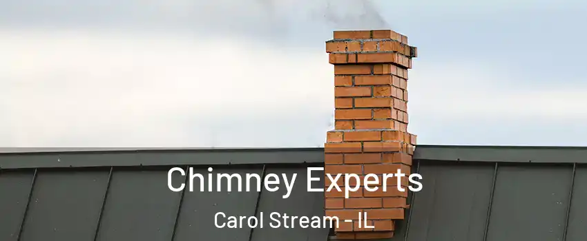 Chimney Experts Carol Stream - IL