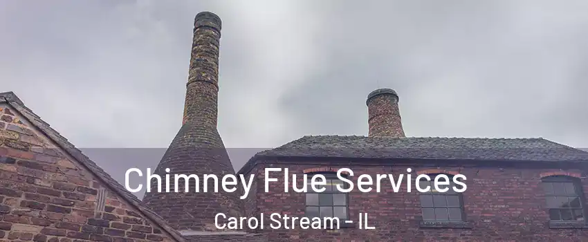  Chimney Flue Services Carol Stream - IL