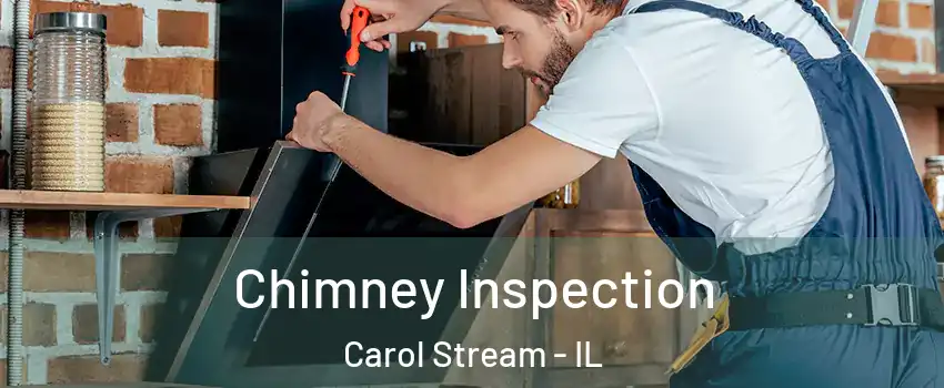  Chimney Inspection Carol Stream - IL
