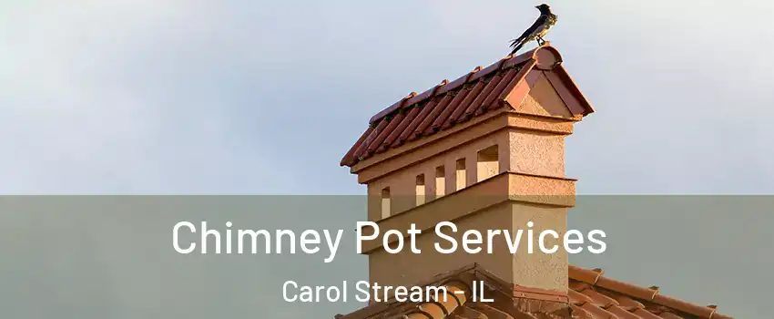  Chimney Pot Services Carol Stream - IL