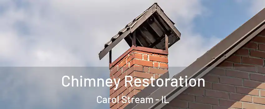  Chimney Restoration Carol Stream - IL