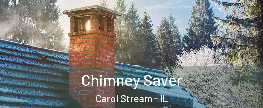  Chimney Saver Carol Stream - IL