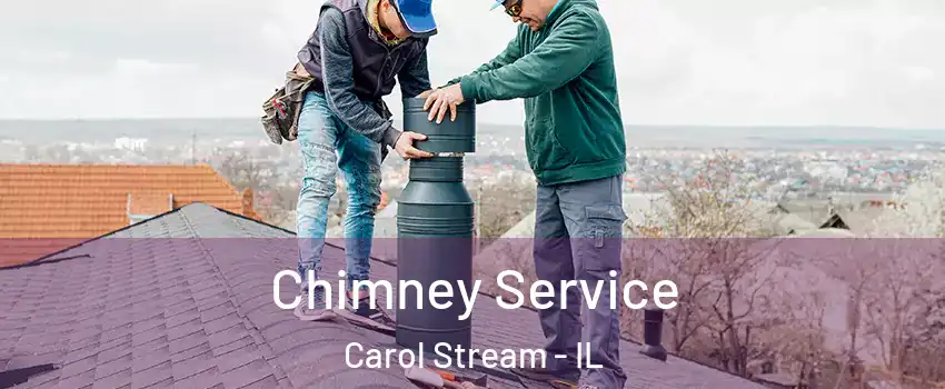  Chimney Service Carol Stream - IL