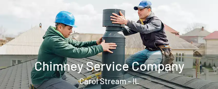  Chimney Service Company Carol Stream - IL