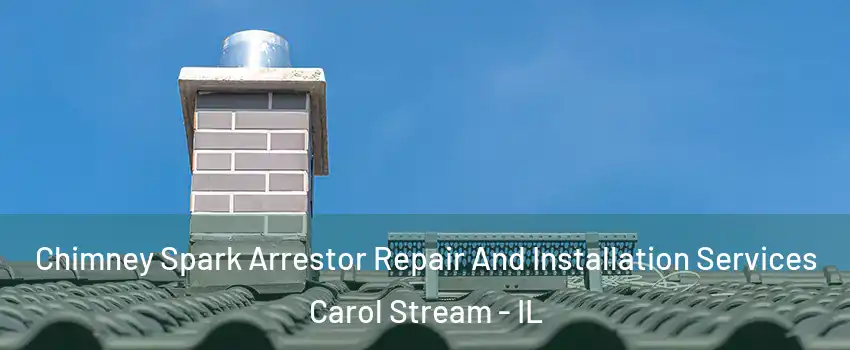  Chimney Spark Arrestor Repair And Installation Services Carol Stream - IL