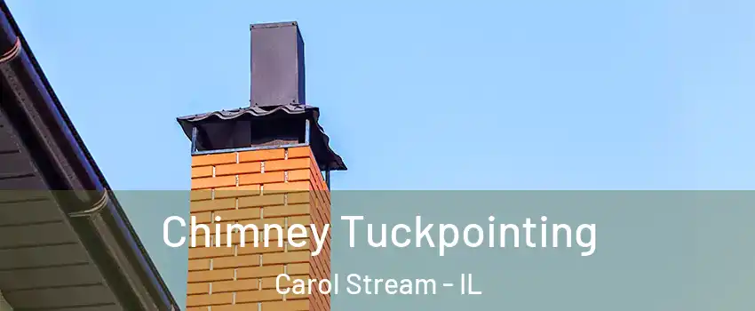  Chimney Tuckpointing Carol Stream - IL