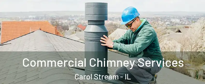  Commercial Chimney Services Carol Stream - IL