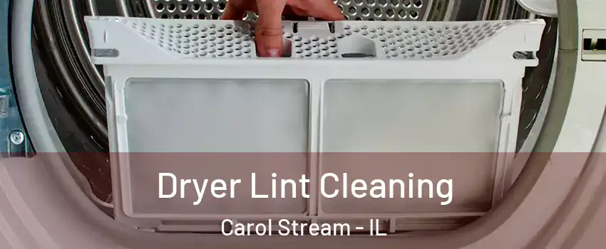  Dryer Lint Cleaning Carol Stream - IL