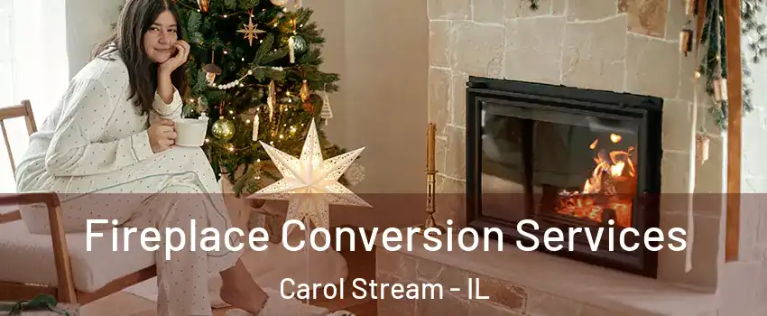 Fireplace Conversion Services Carol Stream - IL