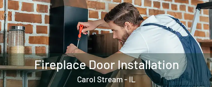  Fireplace Door Installation Carol Stream - IL