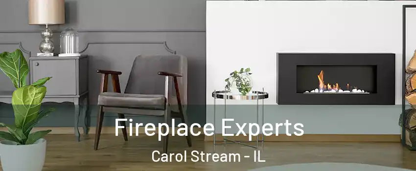  Fireplace Experts Carol Stream - IL