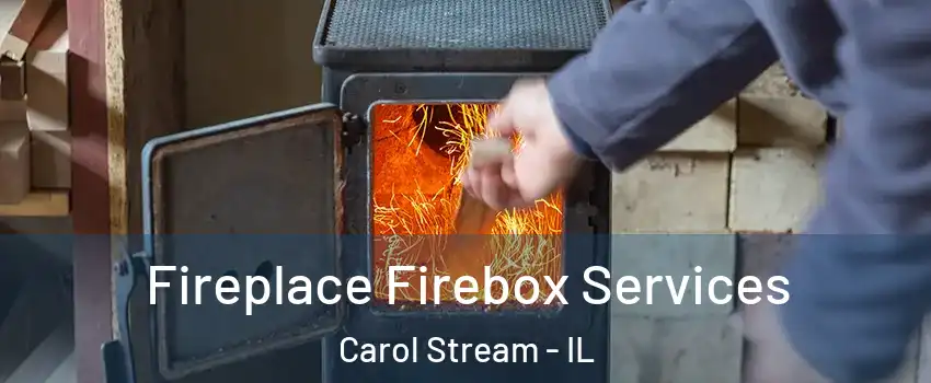  Fireplace Firebox Services Carol Stream - IL