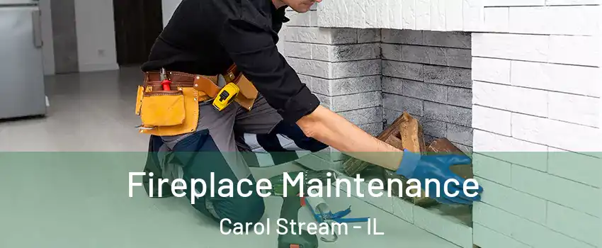  Fireplace Maintenance Carol Stream - IL