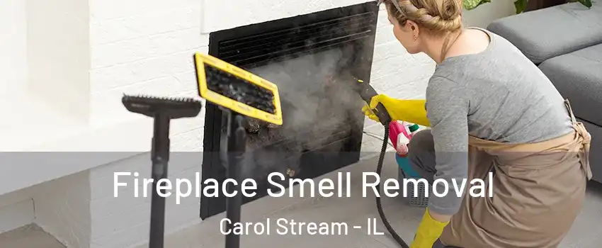  Fireplace Smell Removal Carol Stream - IL