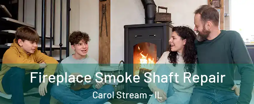  Fireplace Smoke Shaft Repair Carol Stream - IL
