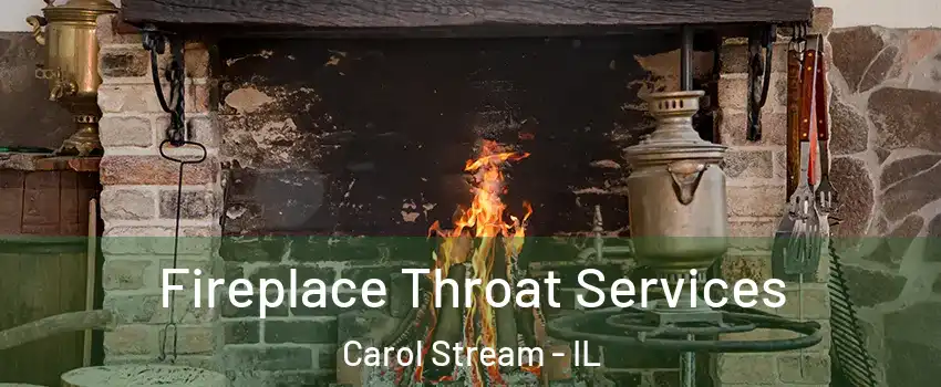  Fireplace Throat Services Carol Stream - IL