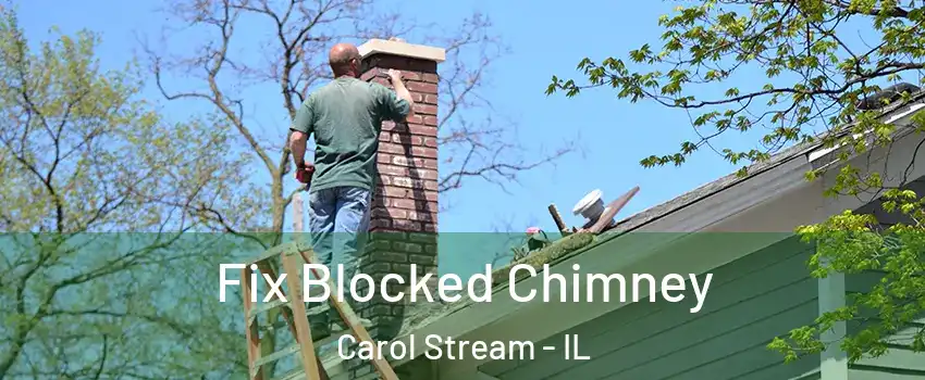  Fix Blocked Chimney Carol Stream - IL
