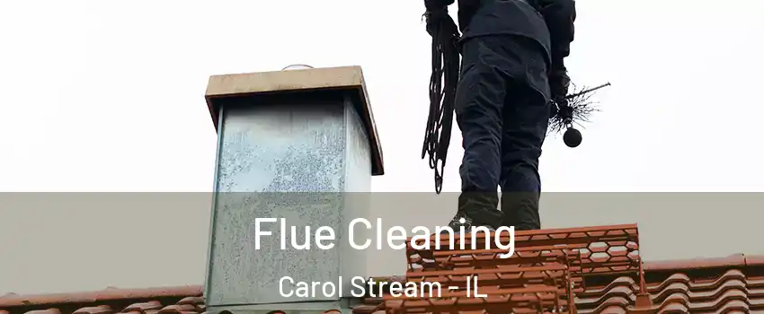  Flue Cleaning Carol Stream - IL