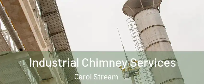  Industrial Chimney Services Carol Stream - IL