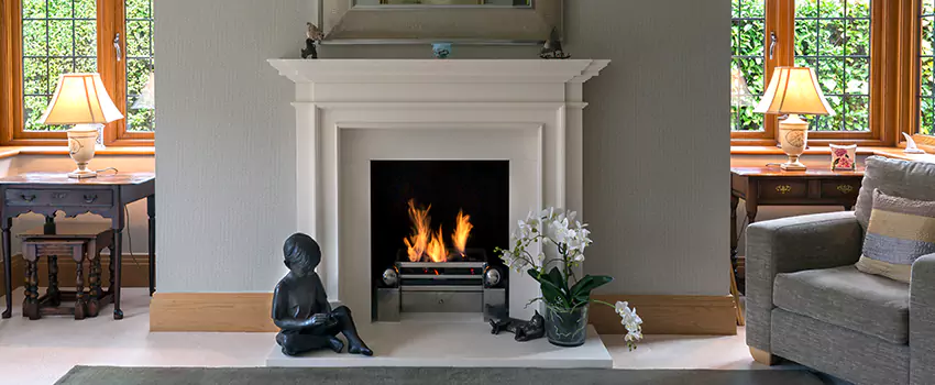 Astria Open-Hearth Wood Fireplaces Services in Carol Stream, IL