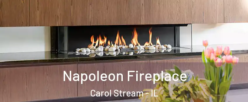  Napoleon Fireplace Carol Stream - IL