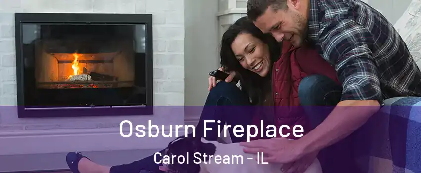  Osburn Fireplace Carol Stream - IL