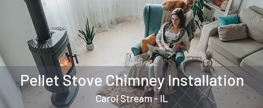  Pellet Stove Chimney Installation Carol Stream - IL