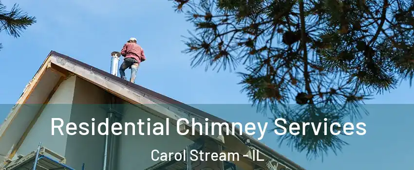  Residential Chimney Services Carol Stream - IL