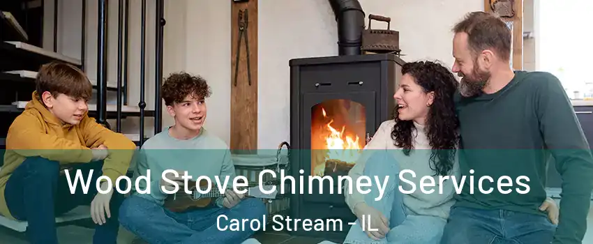  Wood Stove Chimney Services Carol Stream - IL
